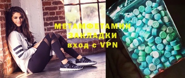 шишки Дмитровск
