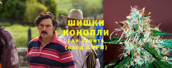 амф Алзамай