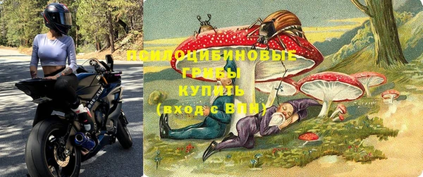 амф Алзамай