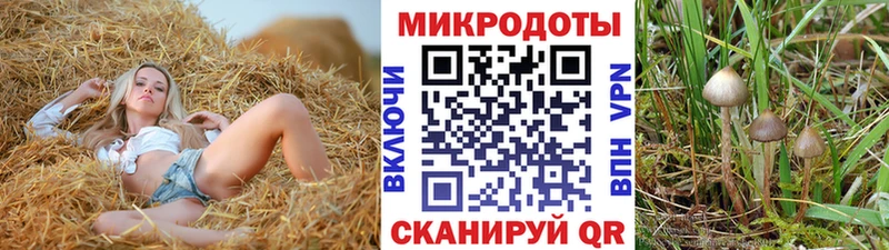 Галлюциногенные грибы мицелий  Чайковский 